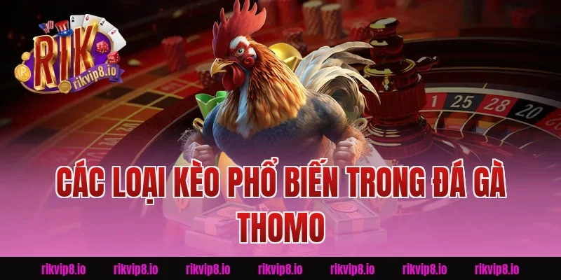 Các Loại Kèo Phổ Biến Trong Đá Gà Thomo