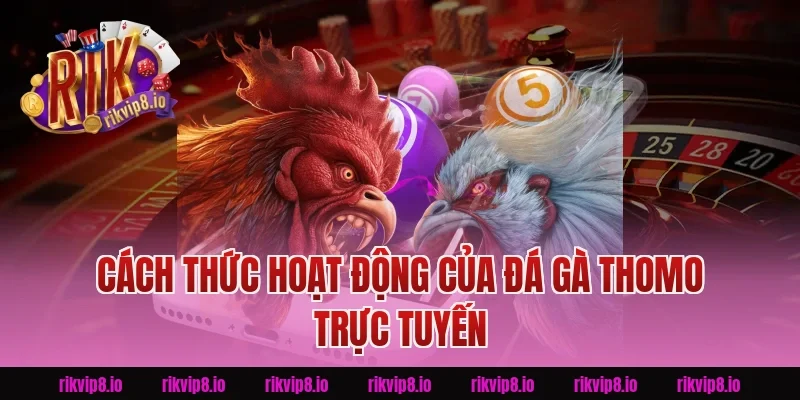 Cách Thức Hoạt Động Của Đá Gà Thomo Trực Tuyến