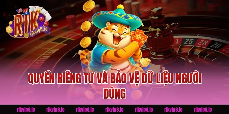 Quyền Riêng Tư Và Bảo Vệ Dữ Liệu Người Dùng